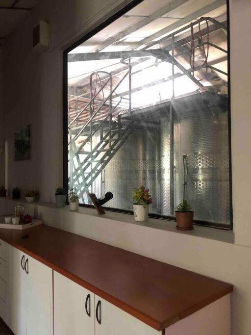 Winecellar Cave, On Wine Farm & Where Lions Roar! *